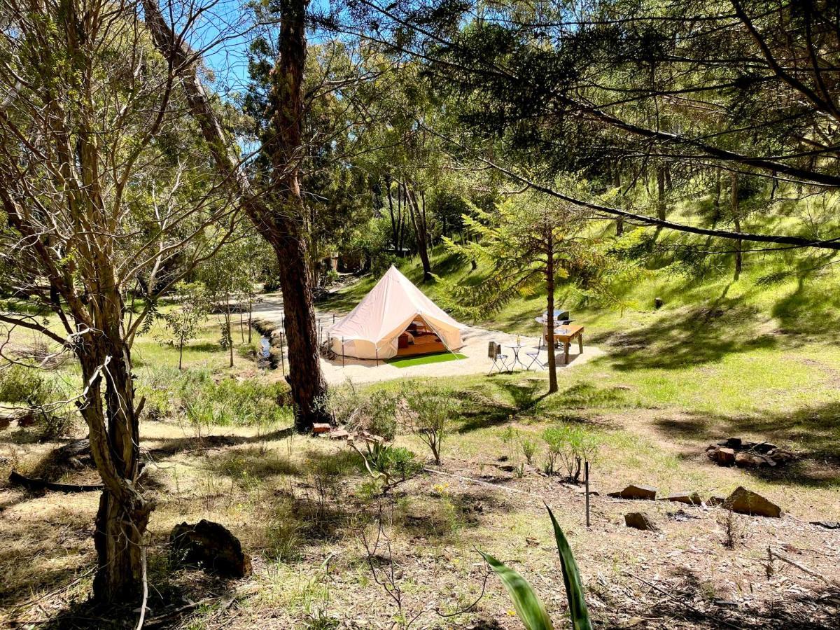 Hotel Golden Point Glamping Faraday Zewnętrze zdjęcie